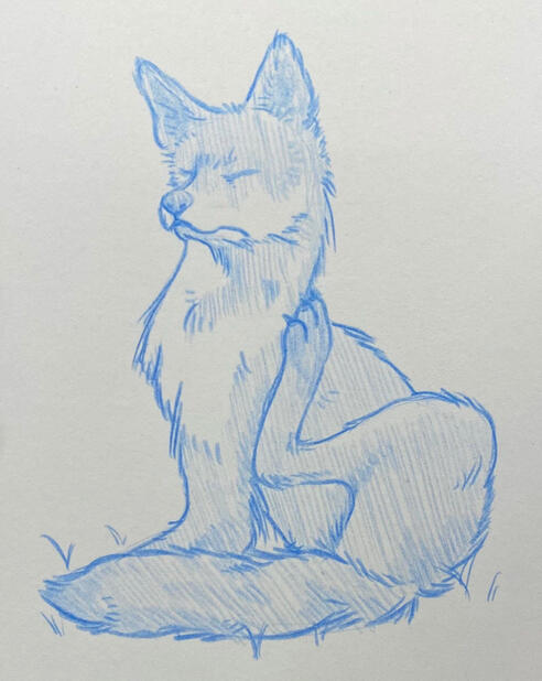 Animal/Wildlife Study