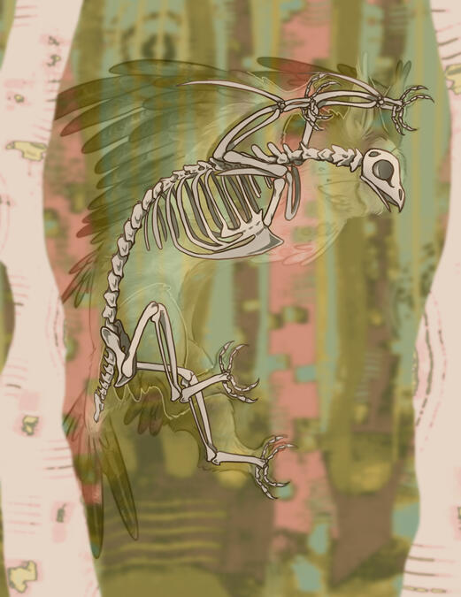 Creature Design - Ferowl Skeleton