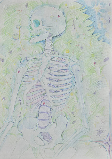 Skeleton Study - 18x24